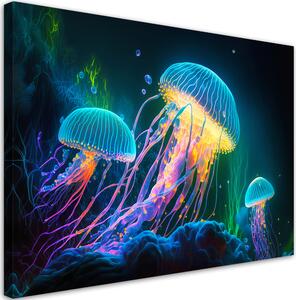 Gario Vászonkép Színes medúzák Méret: 60 x 40 cm