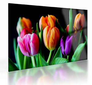 Tulipánok képe fekete alapon (üvegen) (70x50 cm)