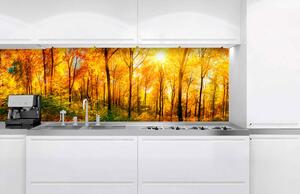 Konyhai fotótapéta - napos erdő 180 x 60 cm