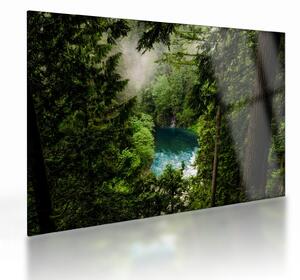 Kép - kilátás a fák között (üvegen) (70x50 cm)