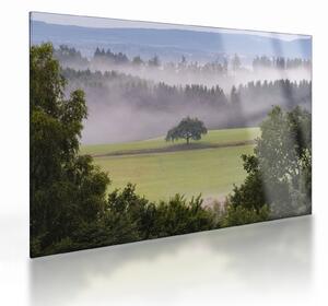 Egy kép a rétről egy fával (üvegen) (70x50 cm)