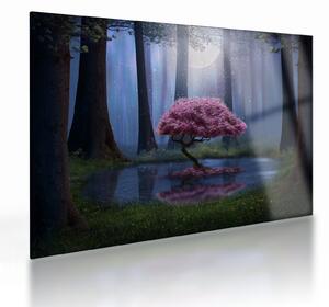Kép - Varázslatos éjszaka (üvegen) (70x50 cm)