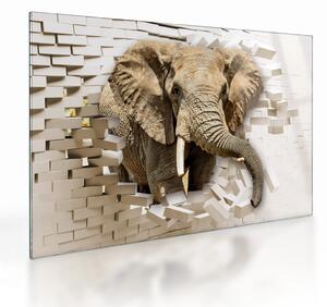 Kép - Egy elefánt áttör a falon (üvegen) (70x50 cm)