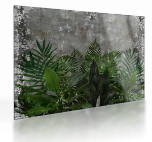Kép - Betonfal növényekkel (üvegen) (70x50 cm)