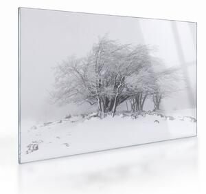 Kép - fehér tél (üvegen) (70x50 cm)