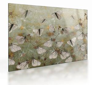 Kép - szüret lepkék (üvegen) (70x50 cm)
