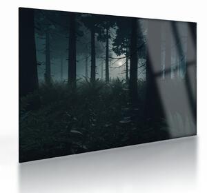 Kép - Páfrányok a holdfényben (üvegen) (70x50 cm)