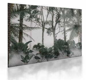 Kép - dzsungel a reggeli ködben (üvegen) (70x50 cm)