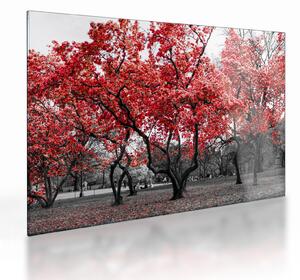 Kép - vörös fák, Central Park, New York (üvegen) (70x50 cm)