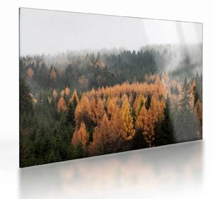 Kép - őszi erdő (üvegen) (70x50 cm)