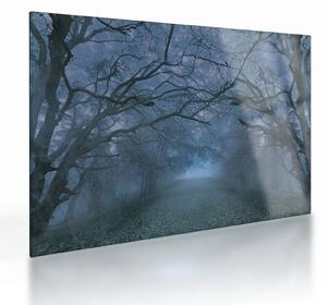 Egy erdő képe a ködben (üvegen) (70x50 cm)