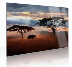 Kép - Serengeti Nemzeti Park, Tanzánia, Afrika (üvegen) (70x50 cm)