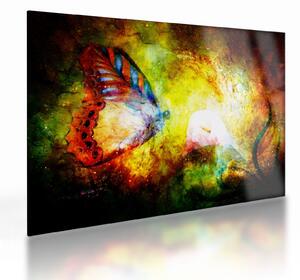 Kép - Kozmikus pillangó (üvegen) (70x50 cm)