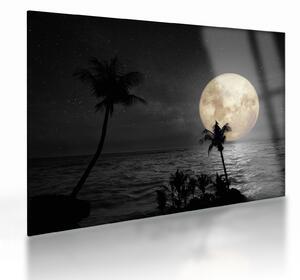 Kép - A strand a telihold alatt szürke tónusokkal (üvegen) (70x50 cm)