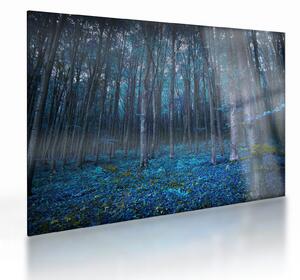 Kép - varázslatos erdő (üvegen) (70x50 cm)