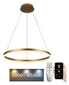 Brilagi Brilagi - LED Dimmelhető csillár zsinóron CIRCLE LED/42W/230V 3000-6500K + távirányító BG0928