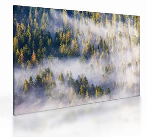 Fák képe a ködben (üvegen) (70x50 cm)