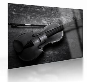 Kép - Viola (üvegen) (70x50 cm)