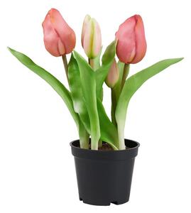 FLORISTA tulipán cserépben, rózsaszín 24 cm