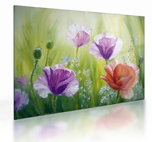 Kép - Pipacsok (üvegen) (70x50 cm)