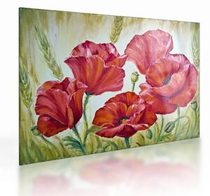 Kép - Pipacsvirágok (üvegen) (70x50 cm)