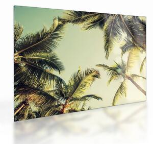 Kép kókuszpálmával (üvegen) (70x50 cm)