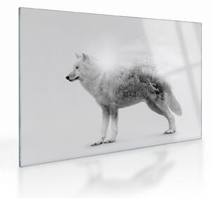 Kép - Vad tájat tükröző sarkvidéki farkas, fekete-fehér (üvegen) (70x50 cm)