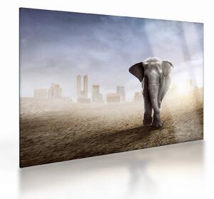 Kép - Elefánt egy nagyvárosban (üvegen) (70x50 cm)