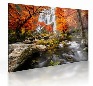 Kép - vízesések a narancssárga erdőben (üvegen) (70x50 cm)