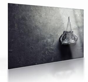Bokszkesztyű képe (üvegen) (70x50 cm)