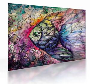 Kép - színes hal (üvegen) (70x50 cm)
