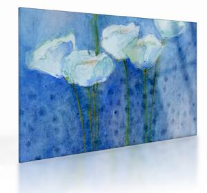 Kép - fehér tulipán (üvegen) (70x50 cm)