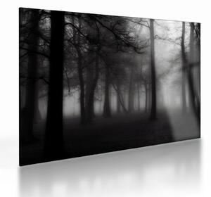 Kép - erdő a ködben (üvegen) (70x50 cm)