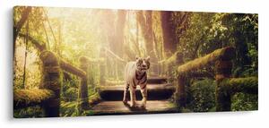 Tigris képe (120x50 cm)