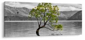 Fa képe a tó közepén (120x50 cm)