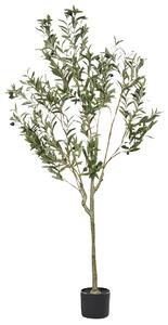 Műnövény OLIVE TREE 153 cm Zöld