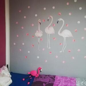 Falmatrica - Flamingó