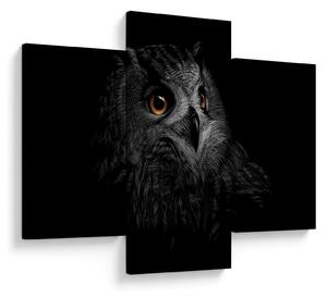 Kép - bagoly, ábra (90x60 cm)