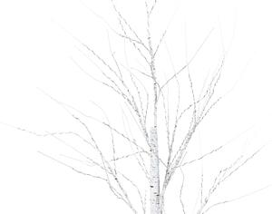 Fehér Kültéri Karácsonyfa Világítással 160 cm LAPPI