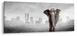 Kép -Elefánt egy nagyvárosban, fekete-fehér változat (120x50 cm)