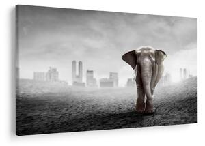 Kép -Elefánt egy nagyvárosban, fekete-fehér változat (90x60 cm)