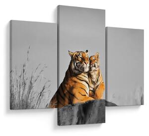 Kép - Tigris és a kölyke, fekete-fehér változat (90x60 cm)
