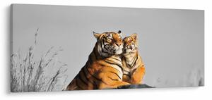 Kép - Tigris és a kölyke, fekete-fehér változat (120x50 cm)