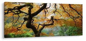 Egy sárga japán juhar képe, Portland, Oregon (120x50 cm)