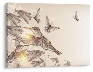 Kép - Kolibri (70x50 cm)