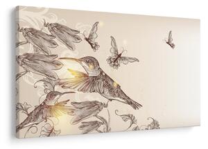 Kép - Kolibri (90x60 cm)