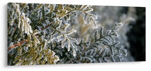 Kép - Ág részlet (120x50 cm)