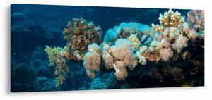 Kép - Az óceánban (120x50 cm)