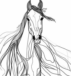 Illusztráció Line Horse, Justyna Jaszke, (30 x 40 cm)