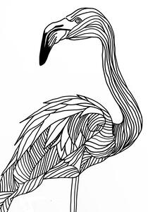 Illusztráció Lines art Flamingo, Justyna Jaszke